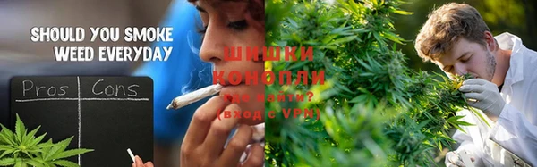 стафф Дмитровск