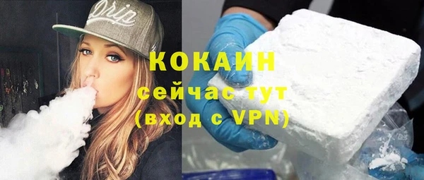 МДПВ Дмитриев