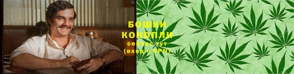 стафф Дмитровск