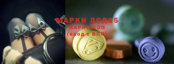 стафф Дмитровск