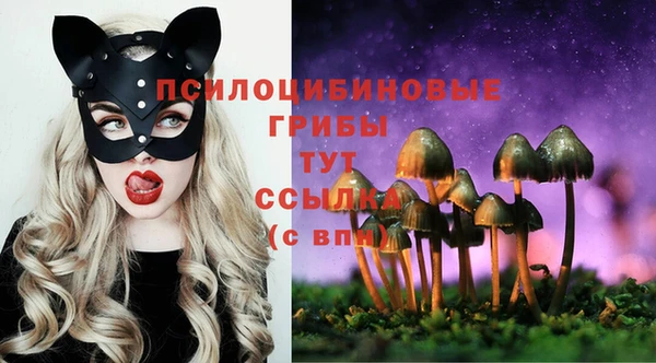 МДПВ Дмитриев