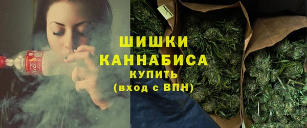 стафф Дмитровск