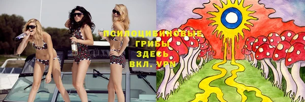 стафф Дмитровск