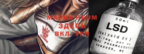 МДПВ Дмитриев