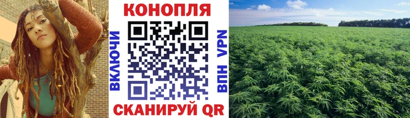Купить где  Новоалександровск  Марихуана White Widow 